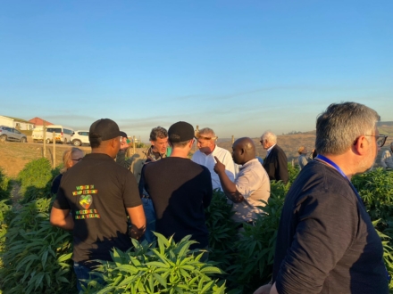 Accompagnement au développement d'une filière chanvre en Afrique du Sud