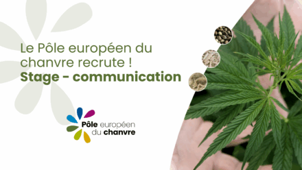offre de stage en communication