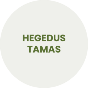 Hegedus Tamas