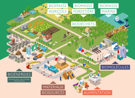 La bioéconomie au coeur de la stratégie régionale du Grand Est