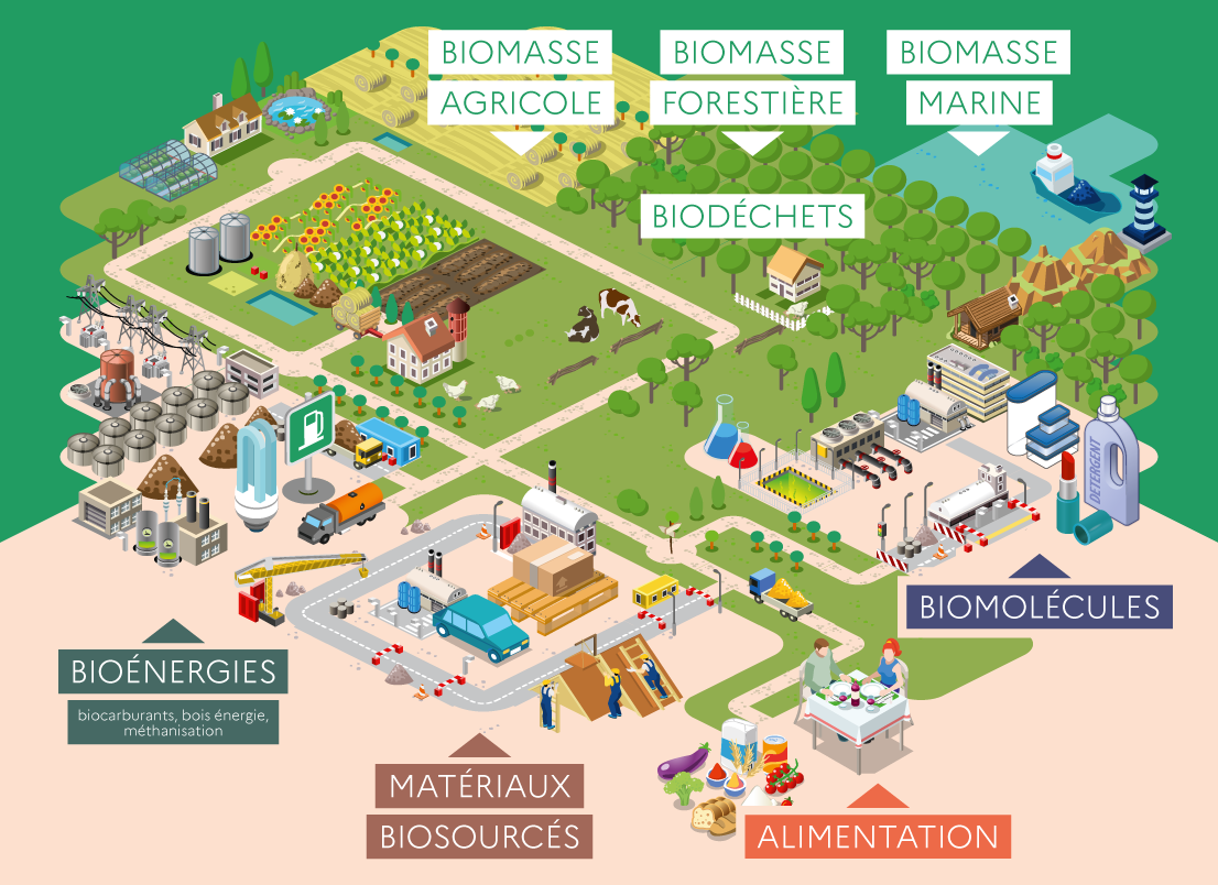 The bioeconomy at the heart of the Grand Est regional strategy