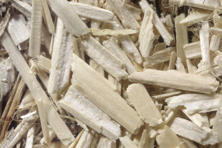 Le chanvre en France : Culture-Récolte-Applications