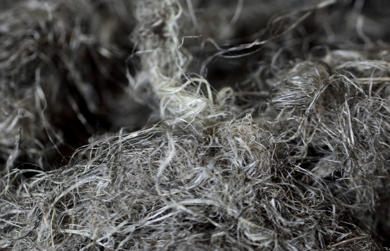 La Chanvrière fibre rouie