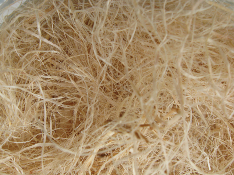 La Chanvrière fibres papiers