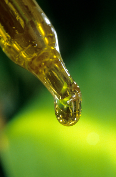 Produits cosmétiques avec le chanvre