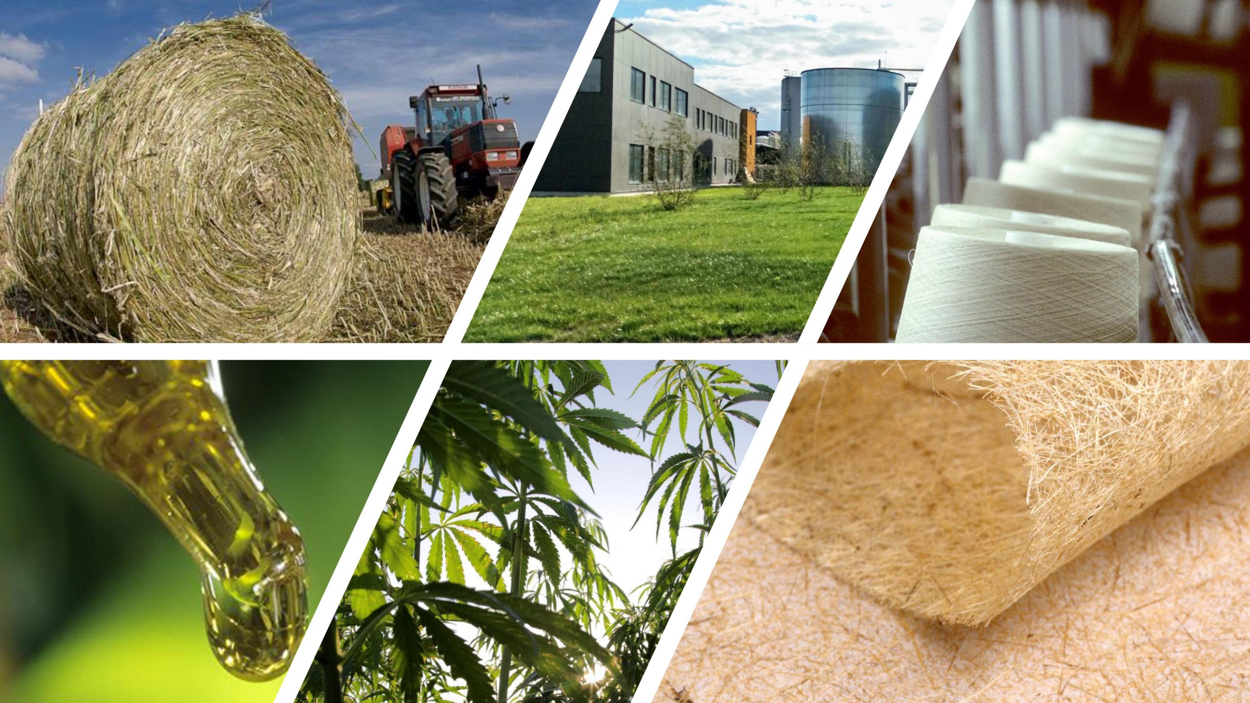 the different uses of hemp