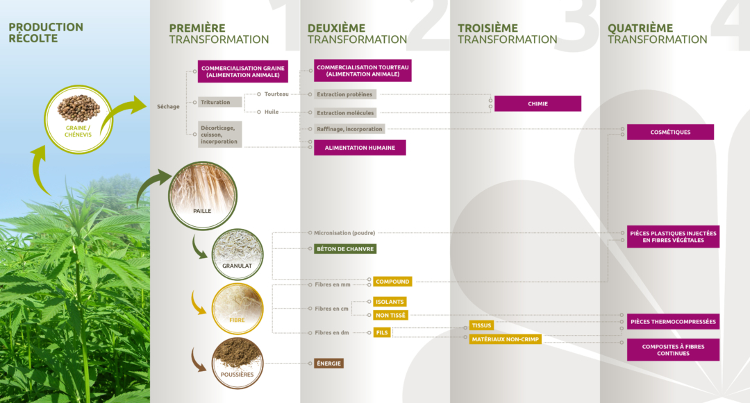 Les transformations du chanvre