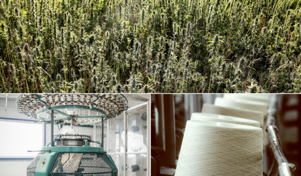 Journée découverte de l'écosystème chanvre textile