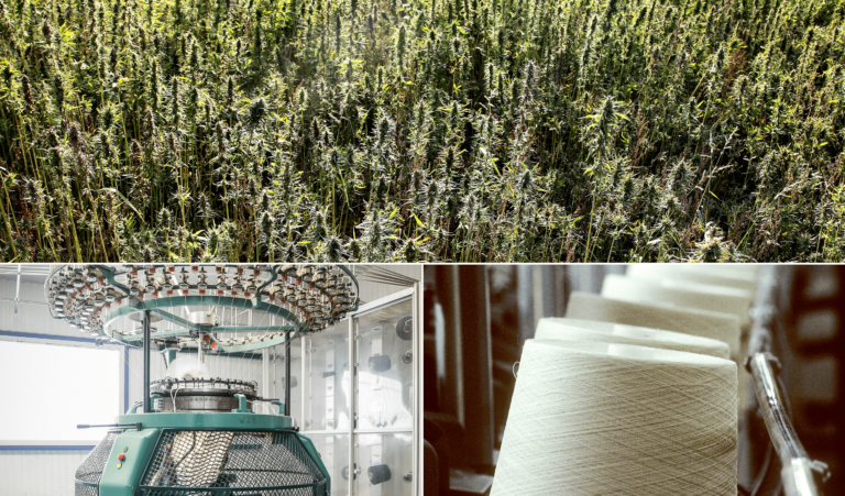 Journée écosystème chanvre textile