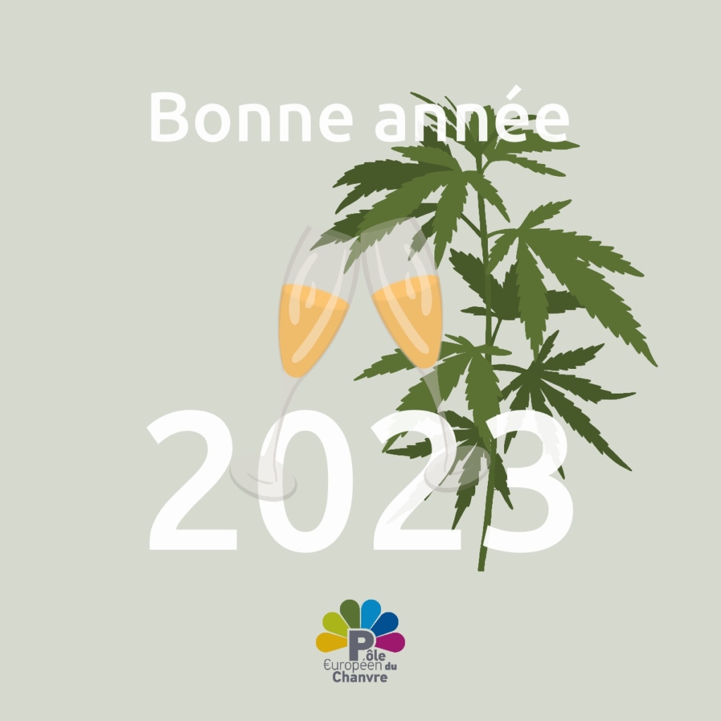 Illustration 2023 greetings