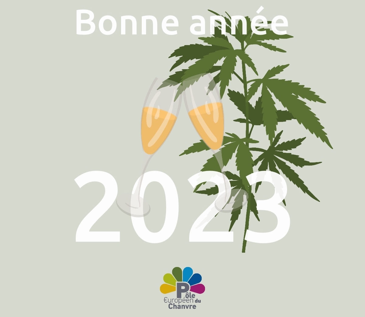 Illustration 2023 greetings